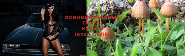 дистиллят марихуана Новозыбков