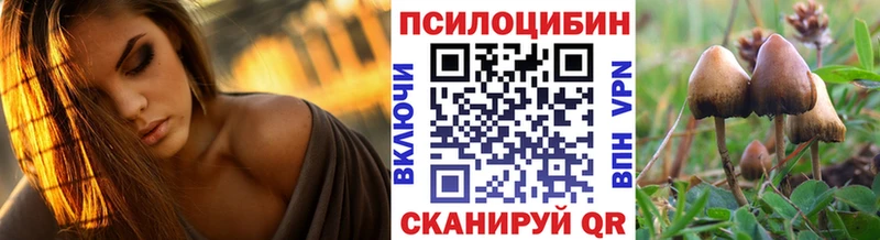 Псилоцибиновые грибы Cubensis Отрадное